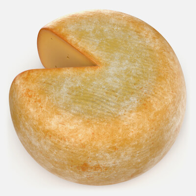 Rustic Cheese Wheel