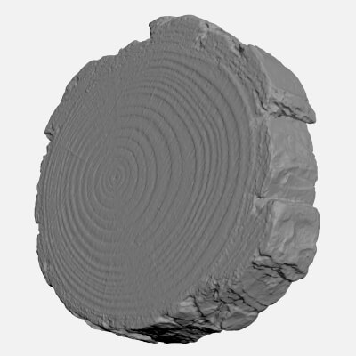 Rustic Wood Slice - For 3D Print