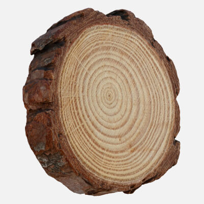 Rustic Wood Slice
