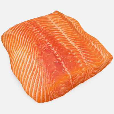 Salmon Fillet 02