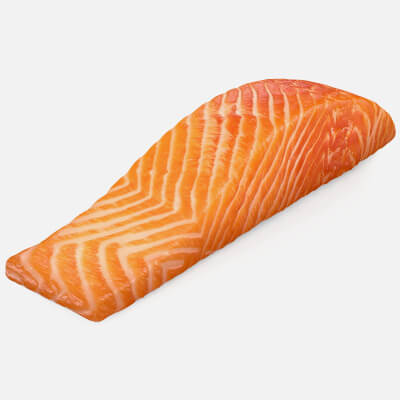 Salmon Fillet 04