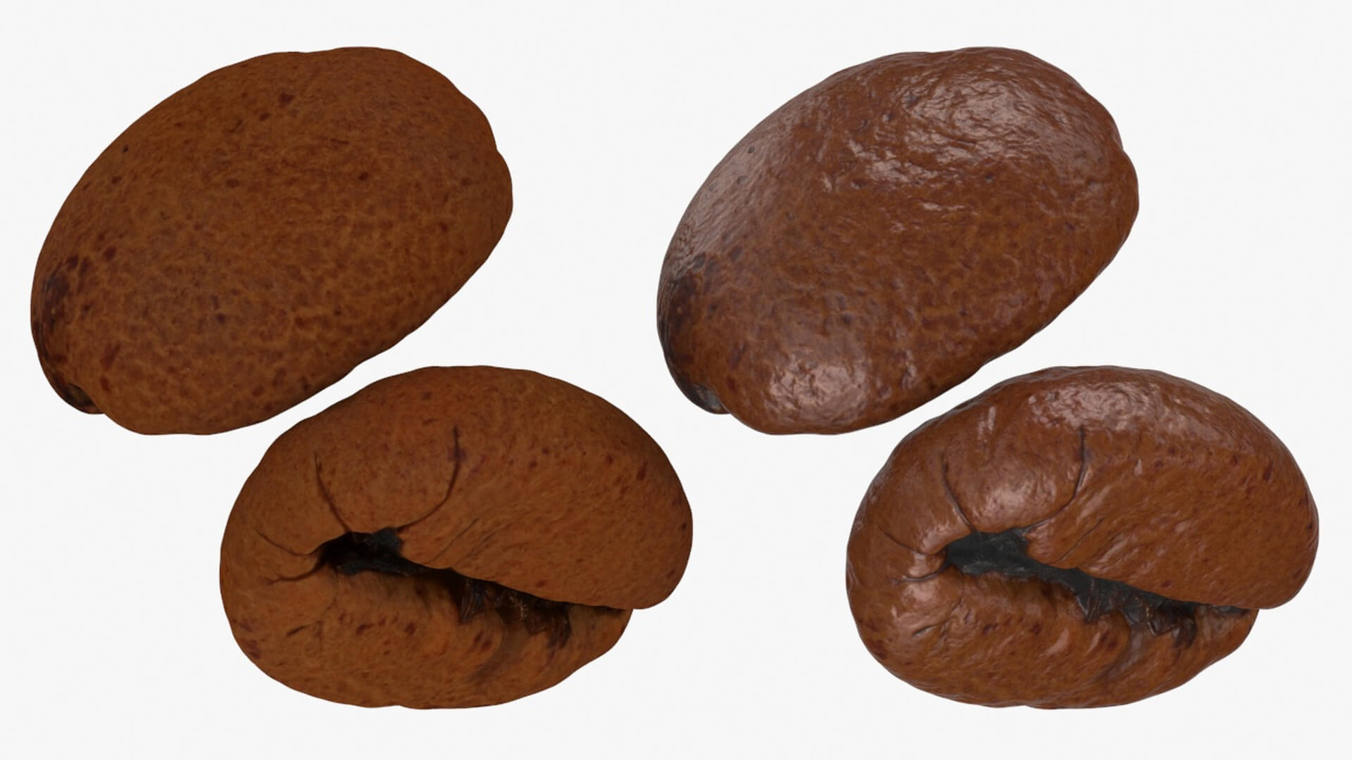 Scattered Coffee Beans 3D Model