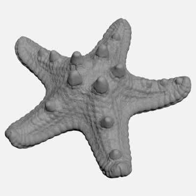Sea Star - For 3D Print