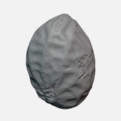 Single Peanut Shell - For 3D Print 3D Model