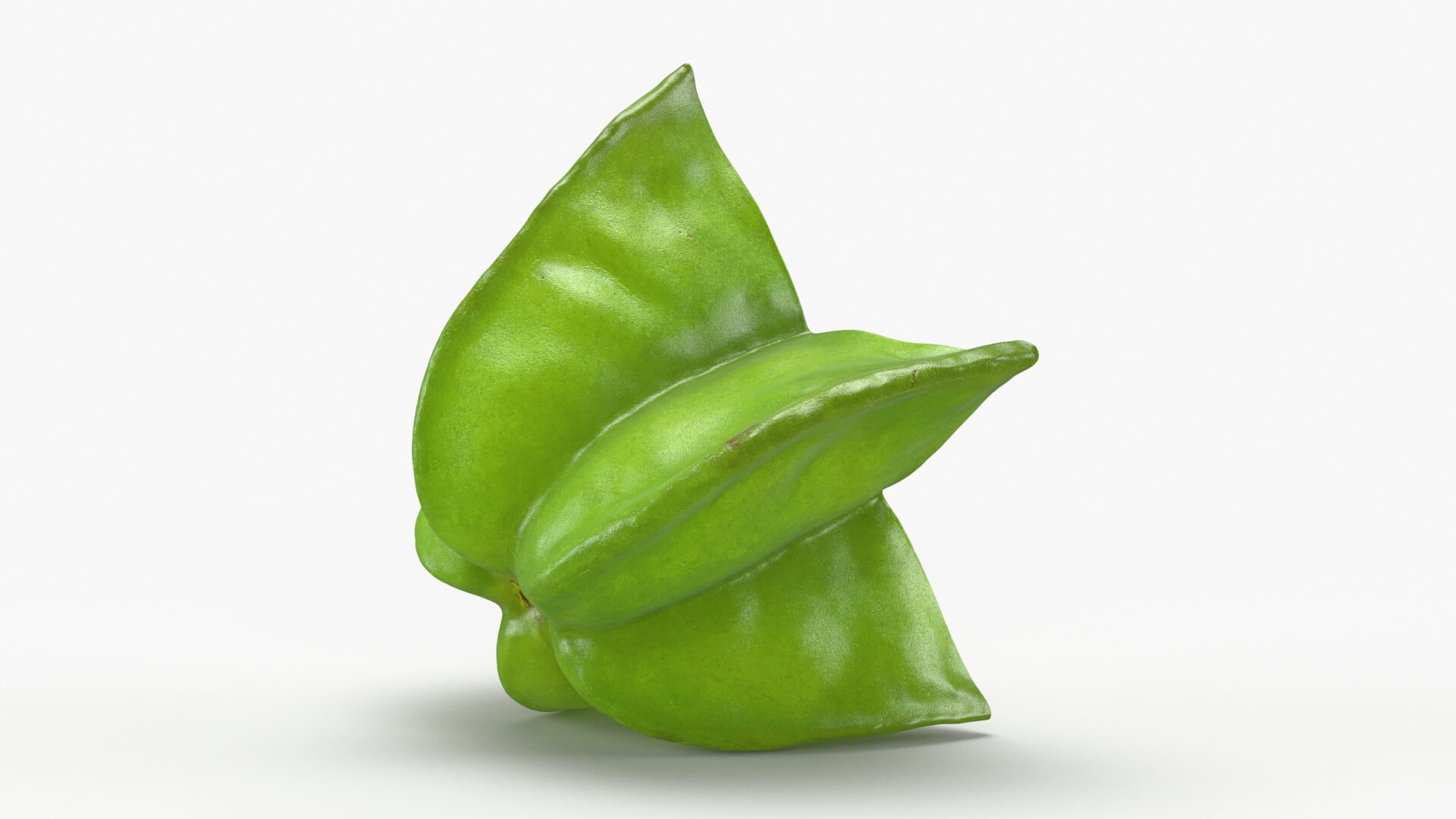 Sliced Star Fruit 3D Model