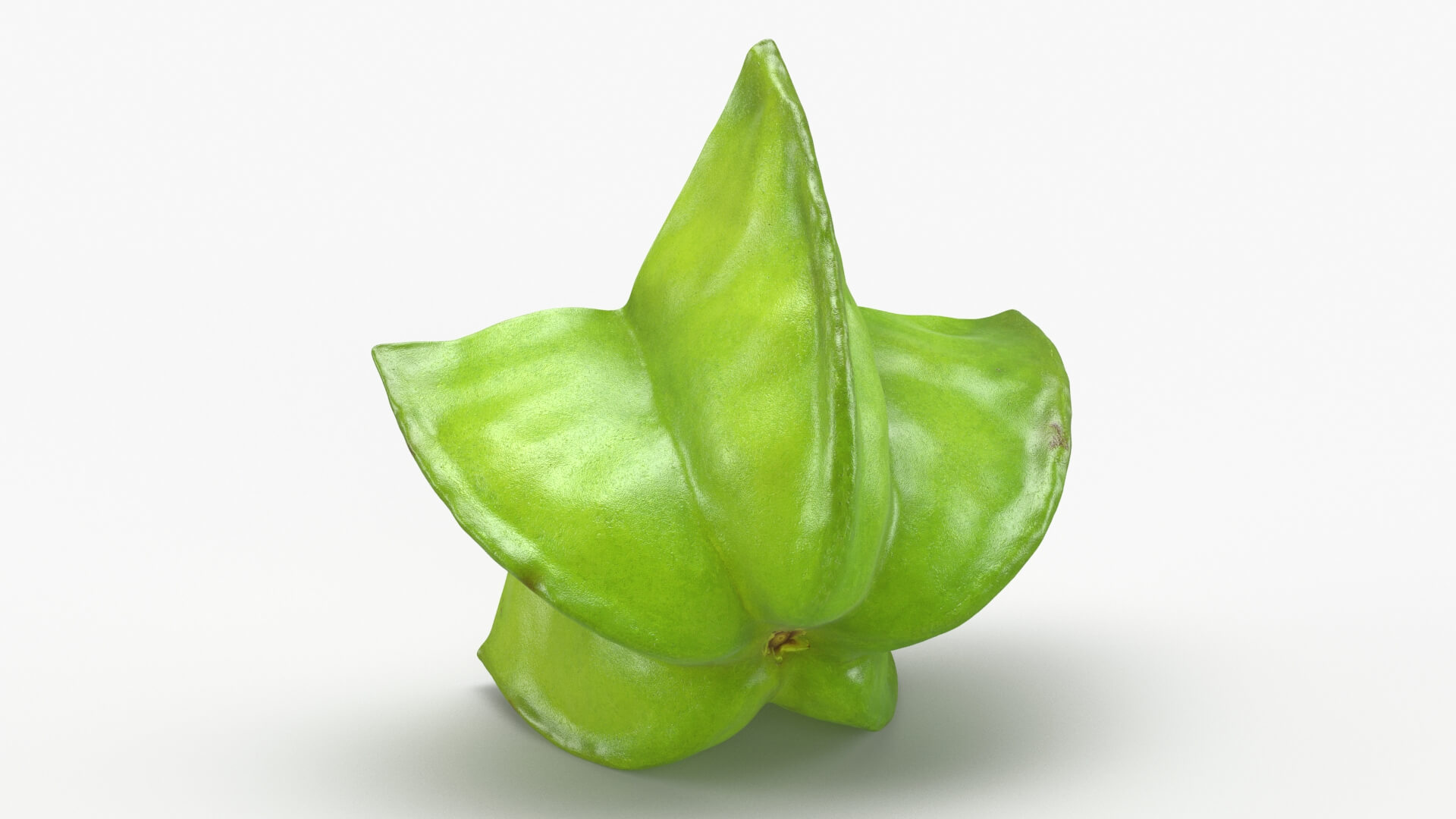 Sliced Star Fruit 3D Model