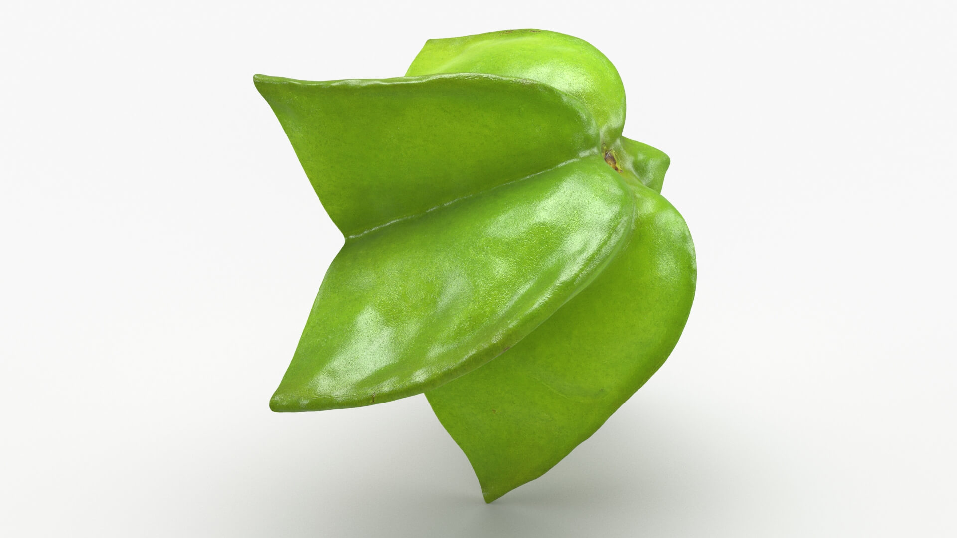 Sliced Star Fruit 3D Model