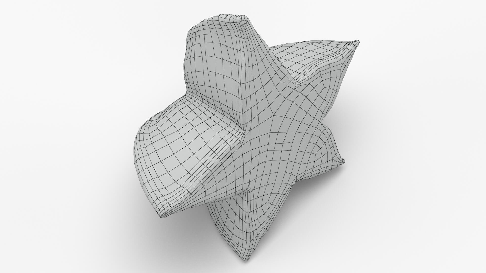Sliced Star Fruit 3D Model