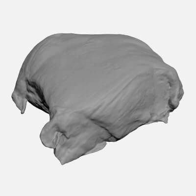 Smoked Chicken Fillet 01 - For 3D Print