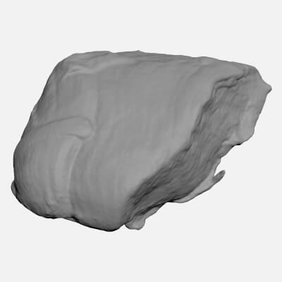 Smoked Chicken Fillet 02 - For 3D Print