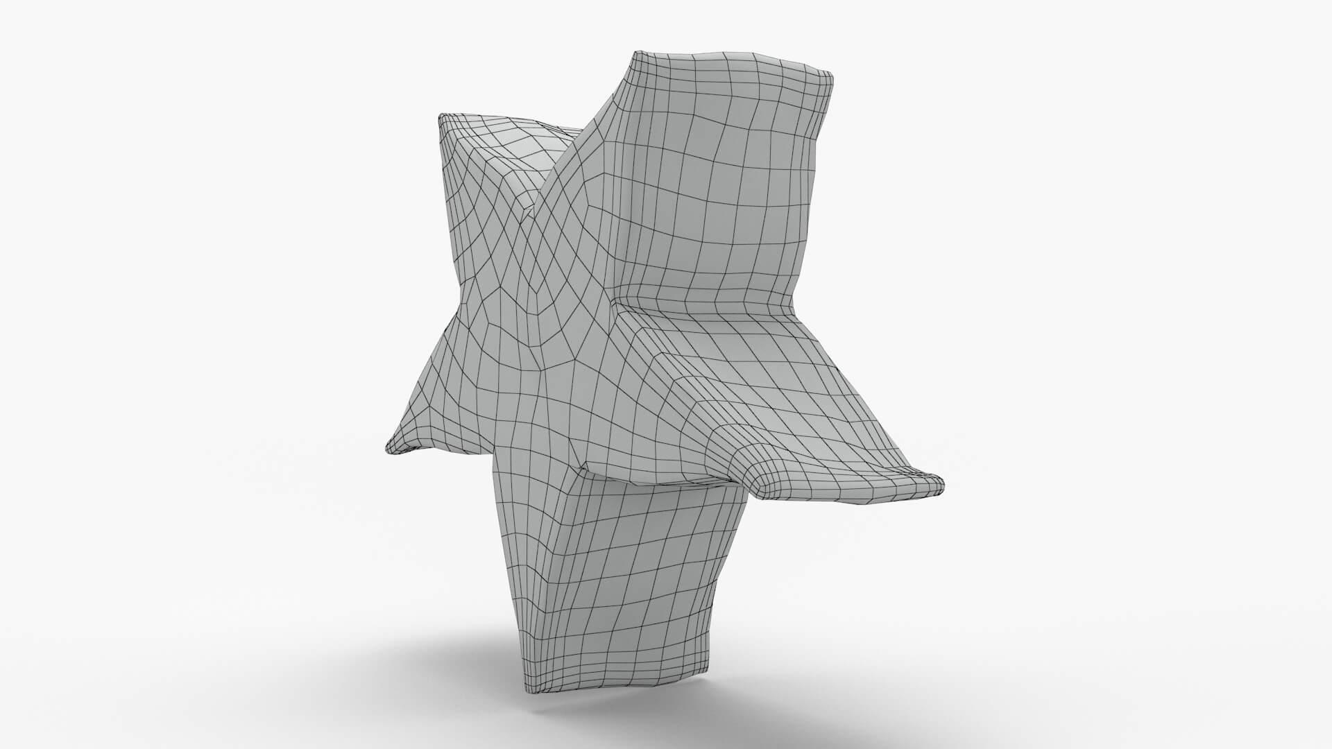 Star Fruit Slice 3D Model