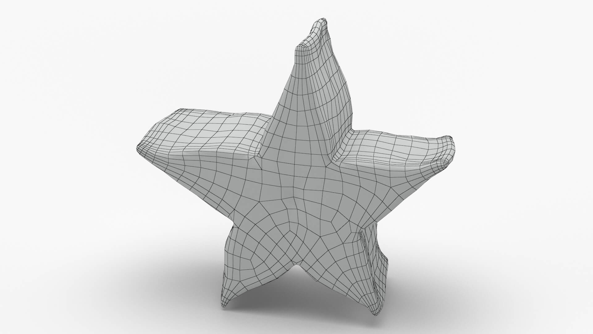 Star Fruit Slice 3D Model