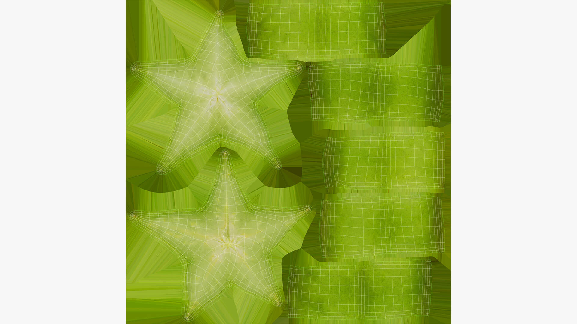 Star Fruit Slice 3D Model