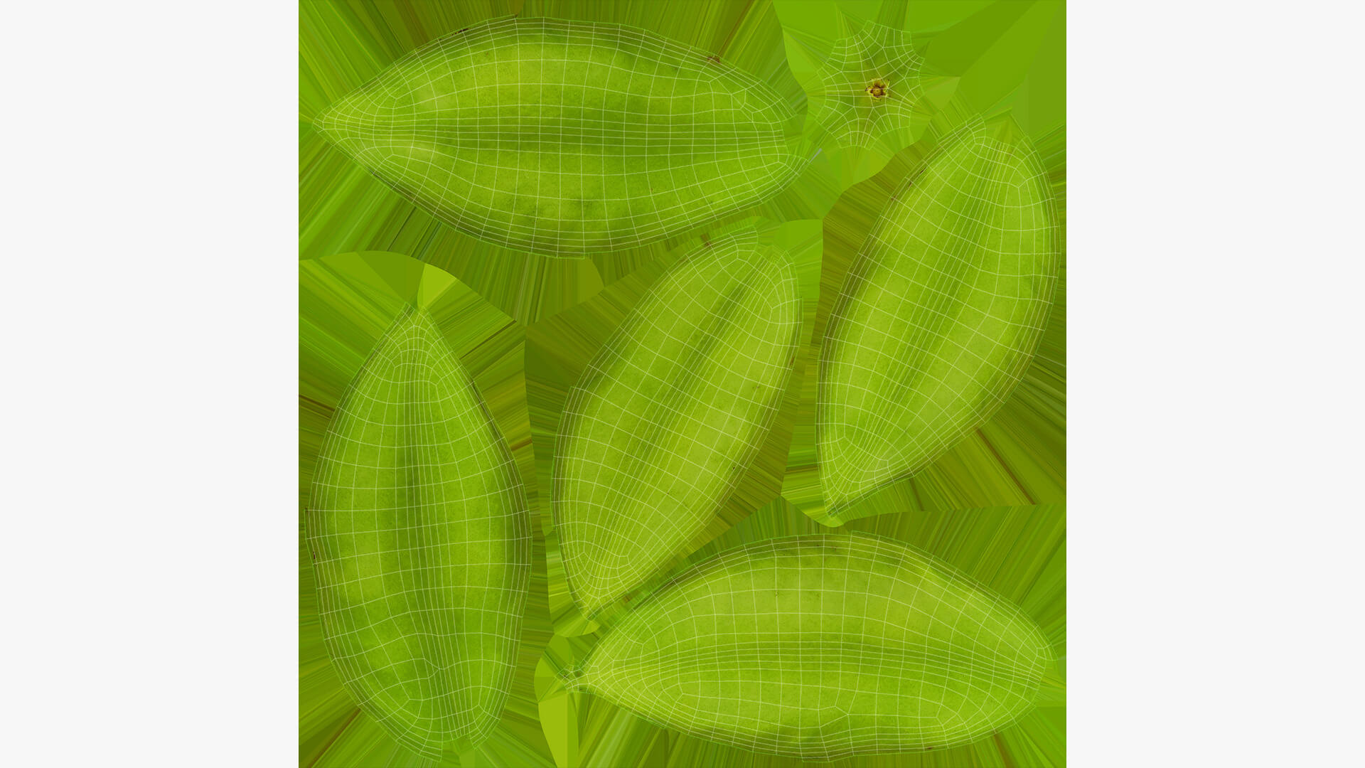 Whole and Cut Star Fruit 3D Model