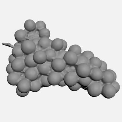 Red Grapes 03 - For 3D Print