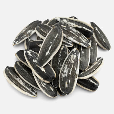 Sunflower Seeds