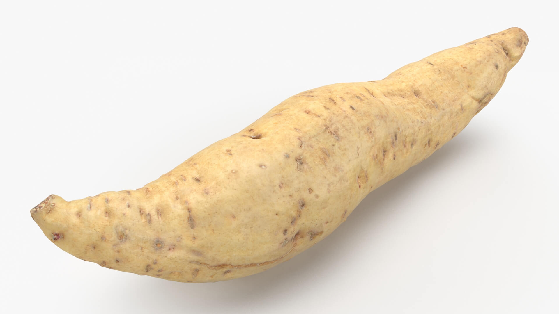 Sweet Potato 01 3D Model