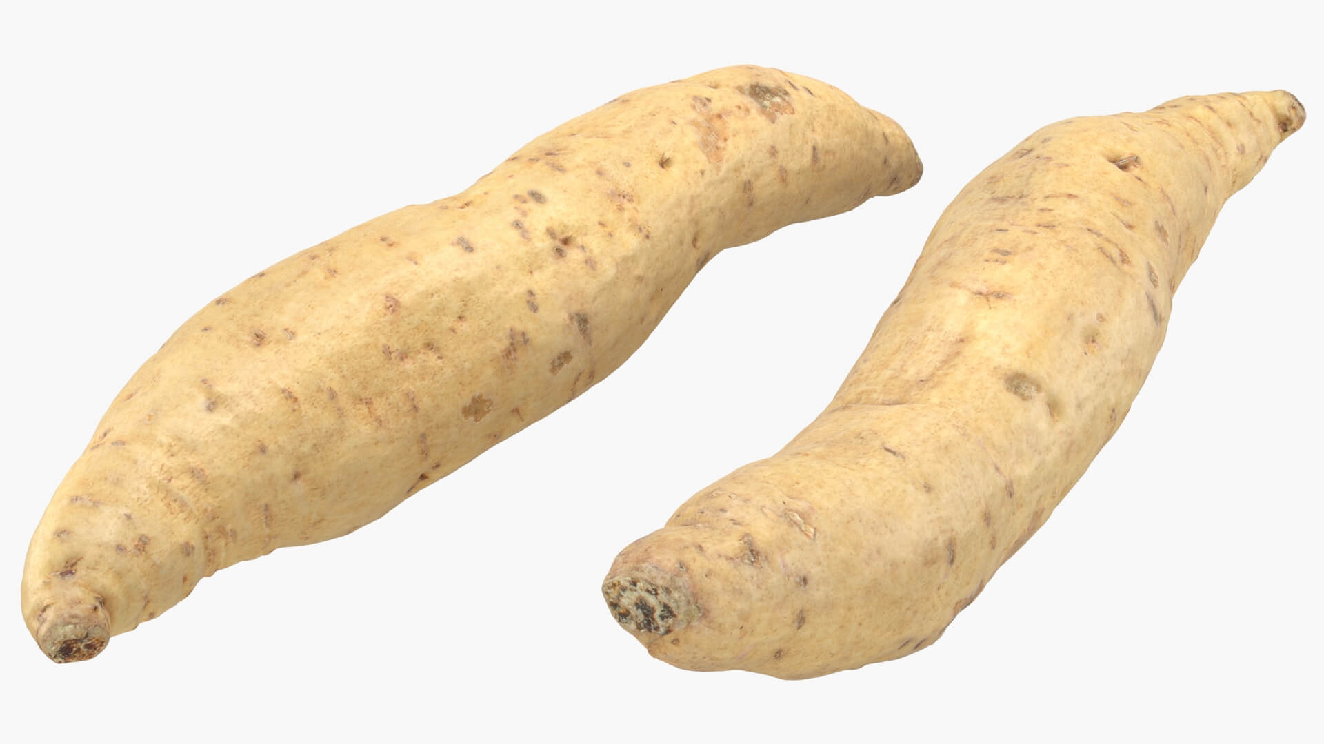 Sweet Potato 01 3D Model