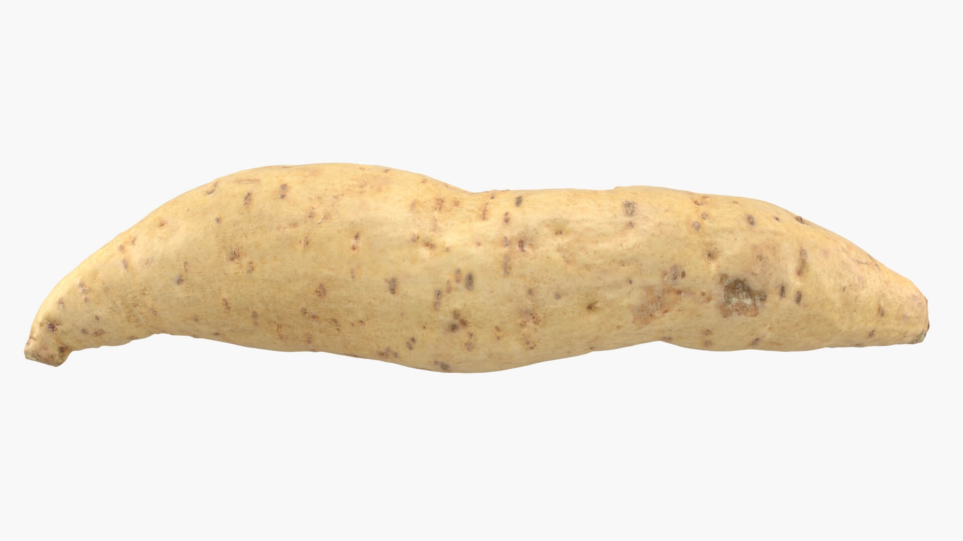 Sweet Potato 01 3D Model