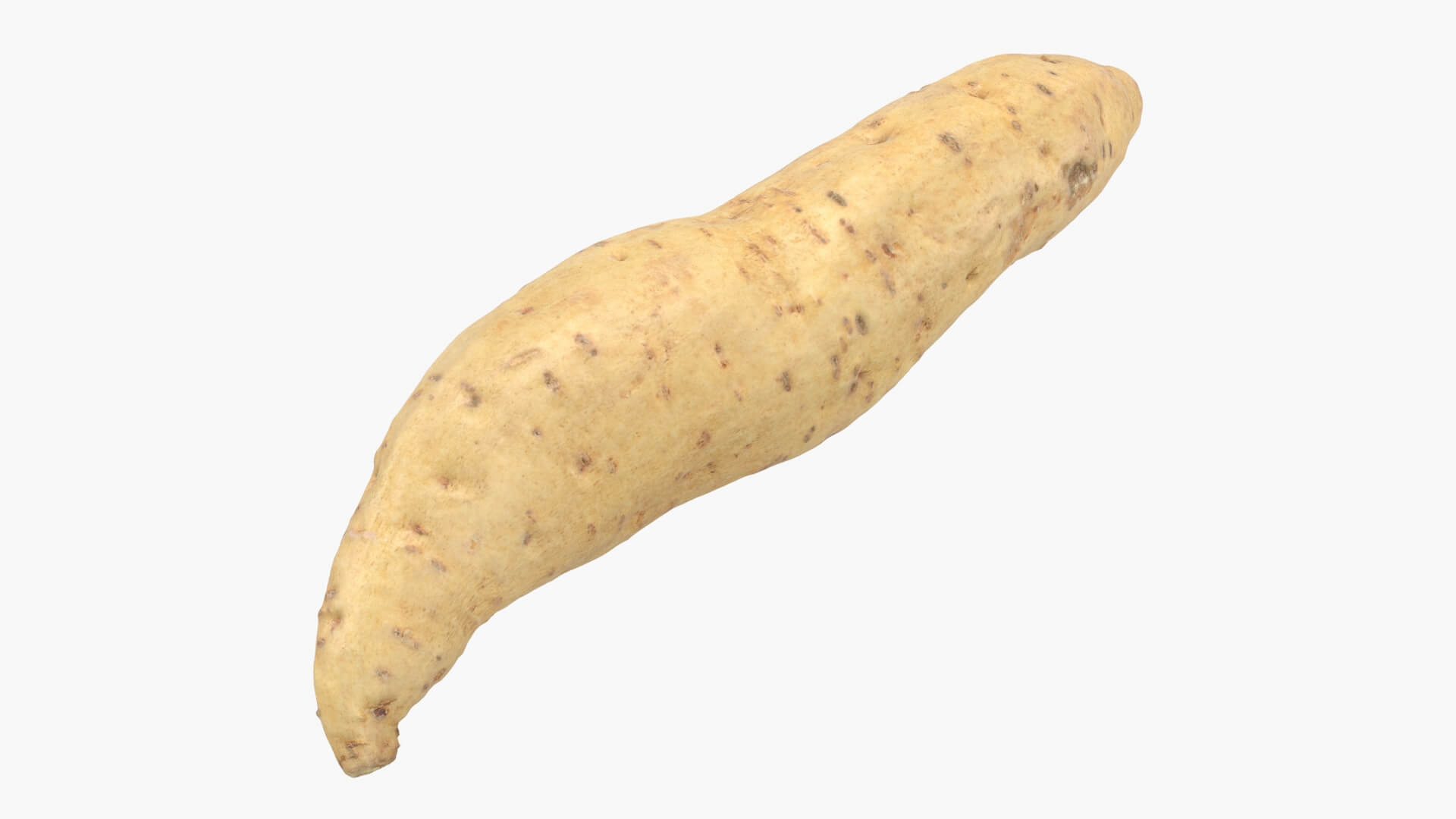 Sweet Potato 01 3D Model