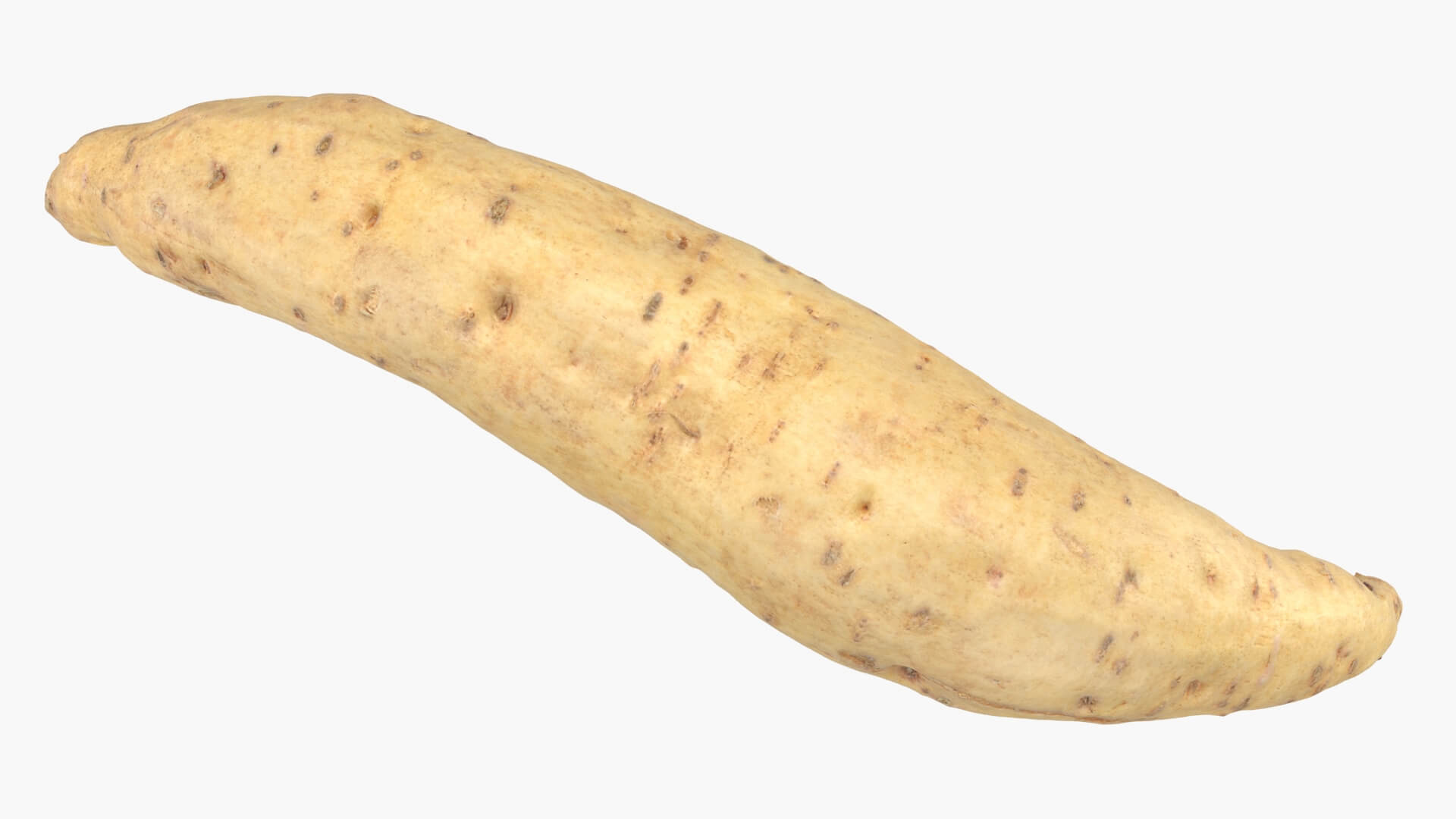 Sweet Potato 01 3D Model