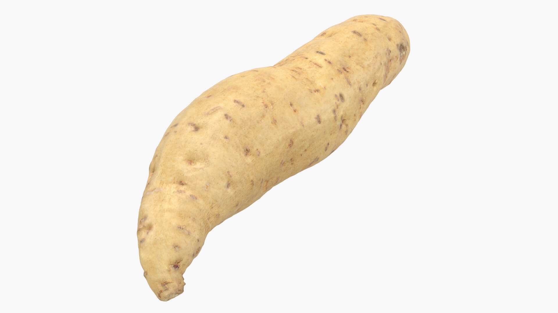 Sweet Potato 01 3D Model