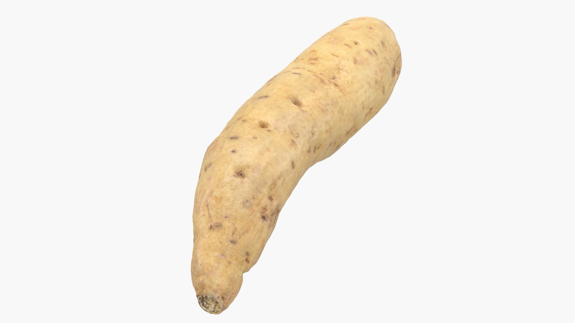 Sweet Potato 01 3D Model