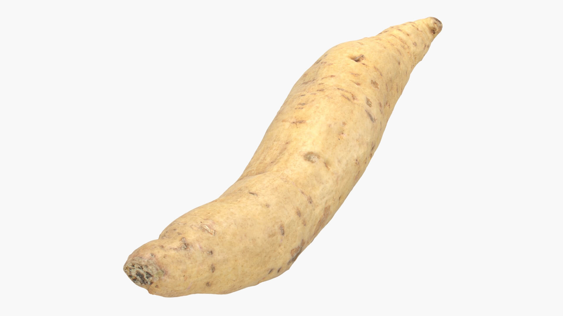 Sweet Potato 01 3D Model