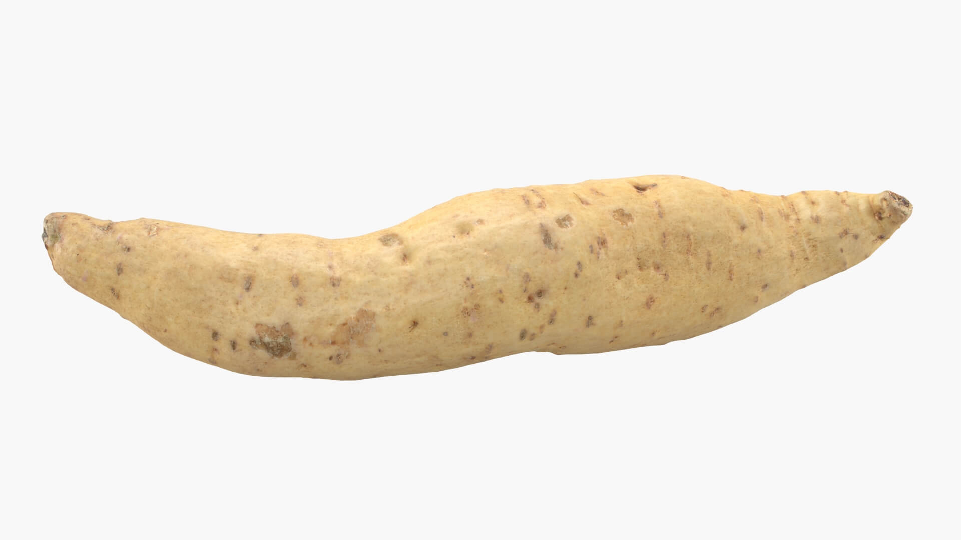 Sweet Potato 01 3D Model