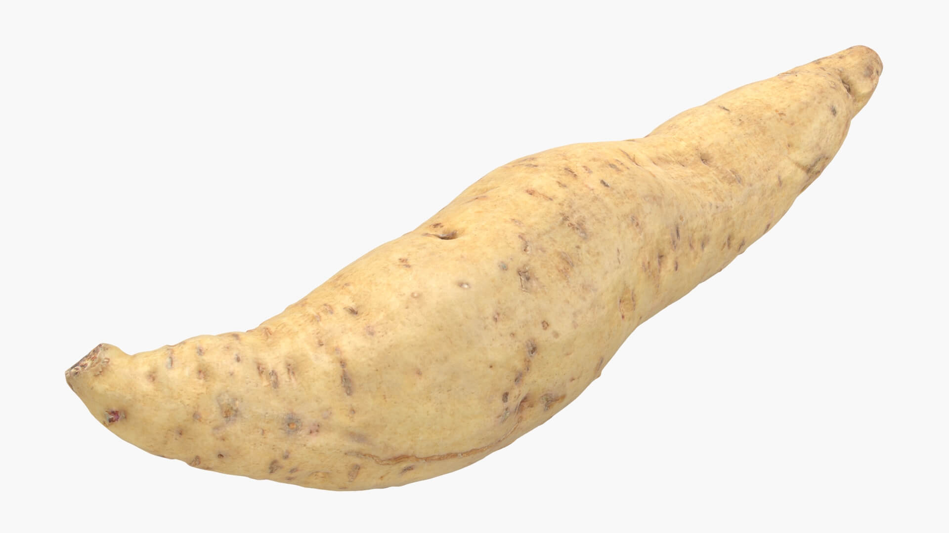 Sweet Potato 01 3D Model