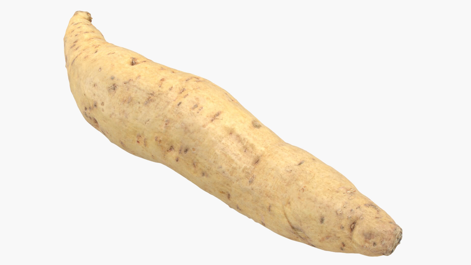 Sweet Potato 01 3D Model