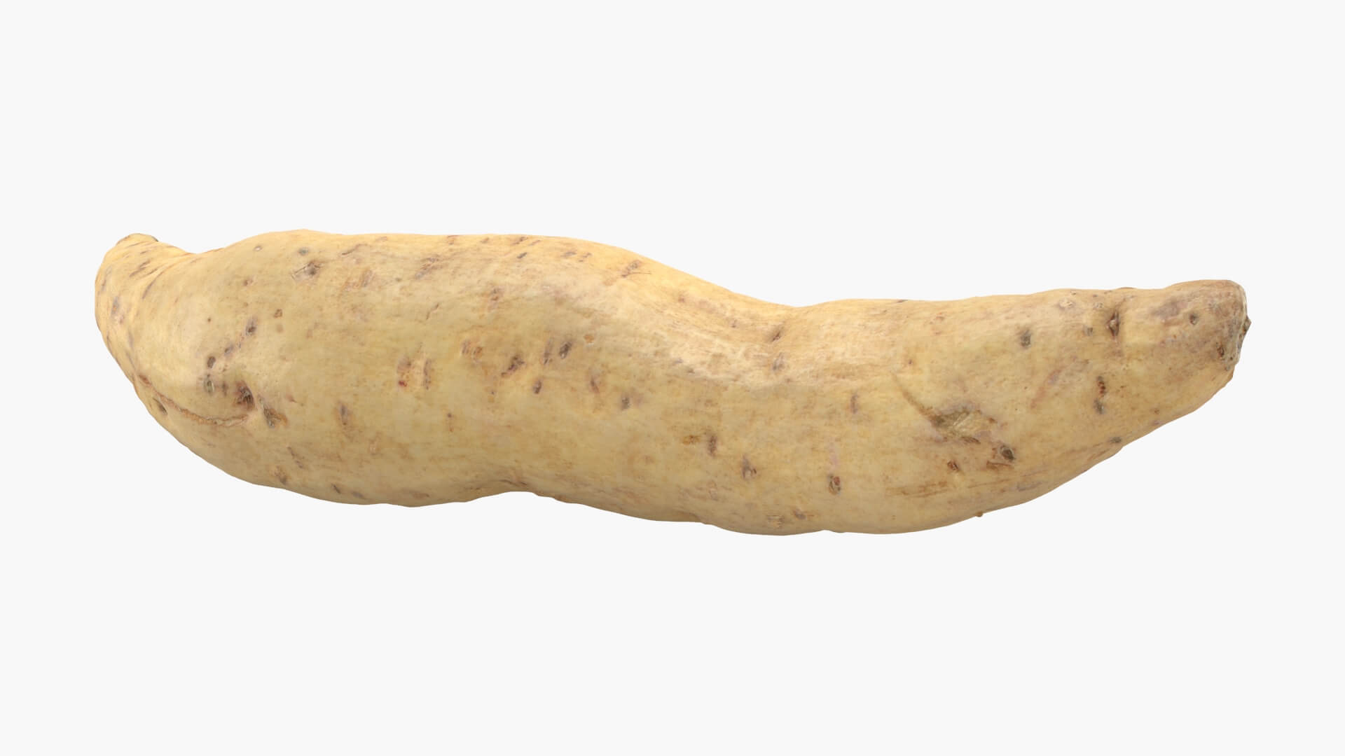 Sweet Potato 01 3D Model