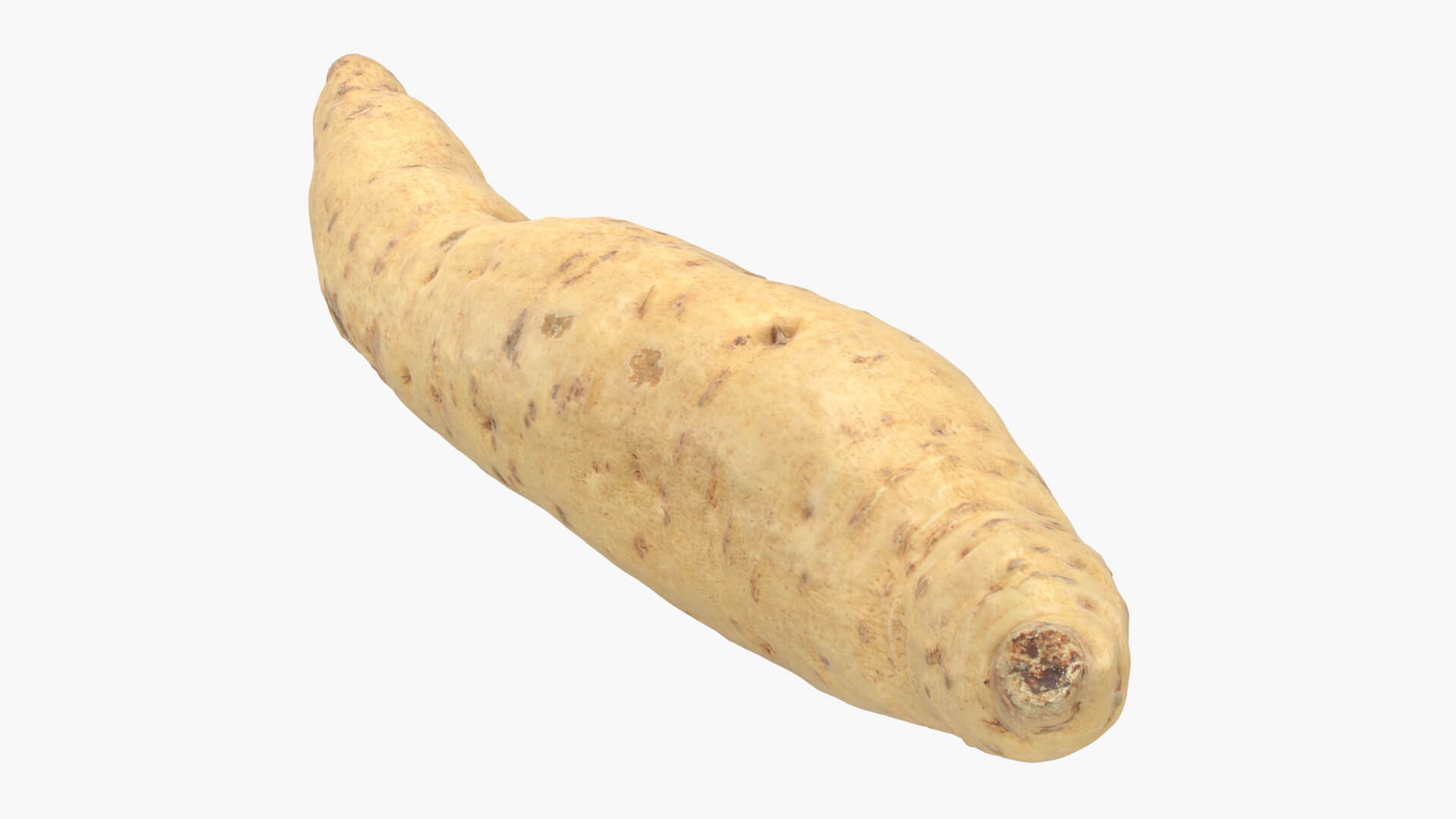 Sweet Potato 01 3D Model