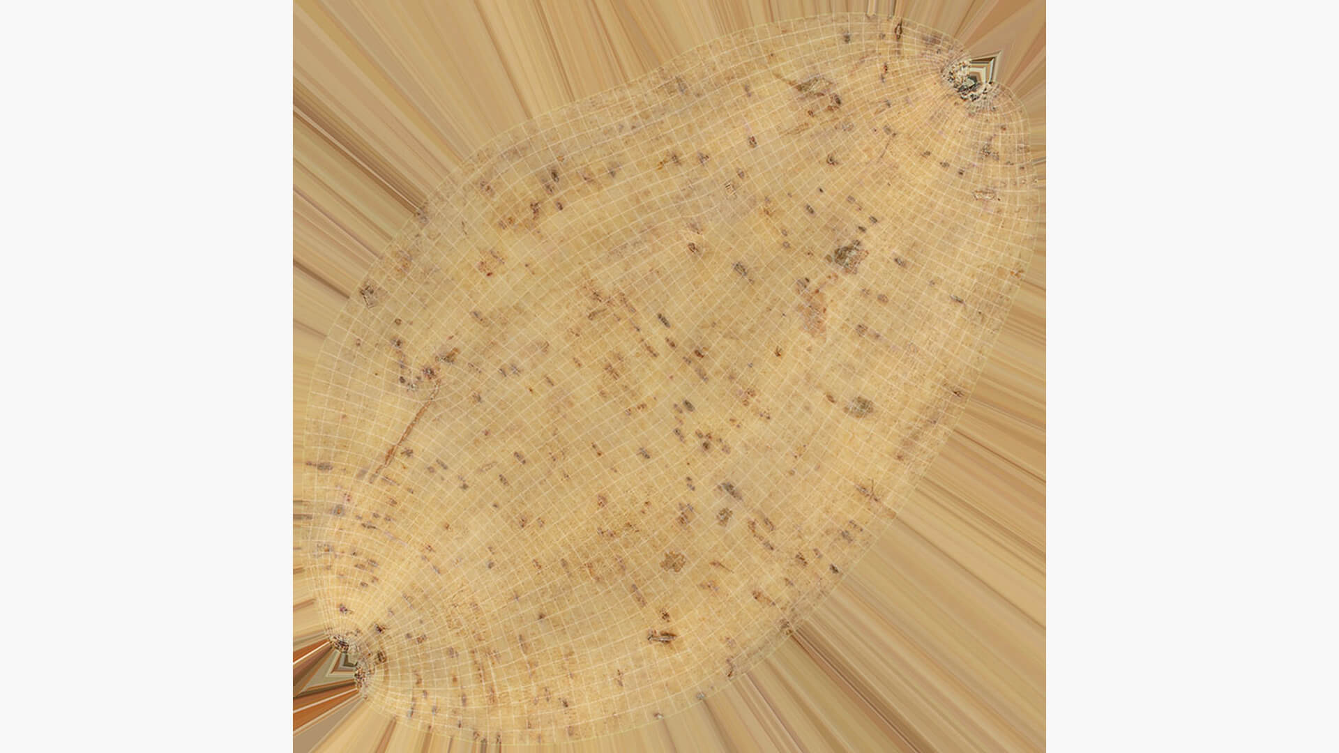 Sweet Potato 01 3D Model