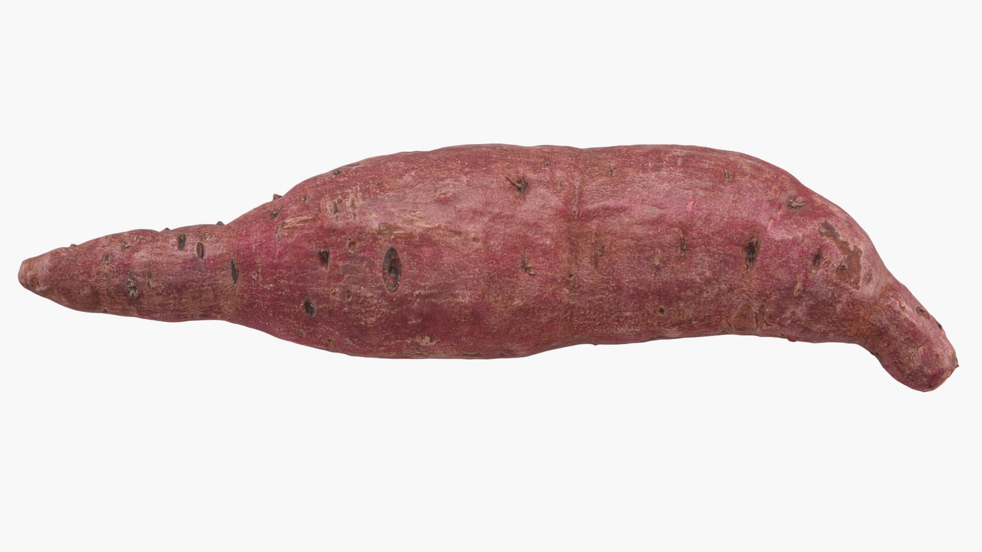 Sweet Potato 02 3D Model