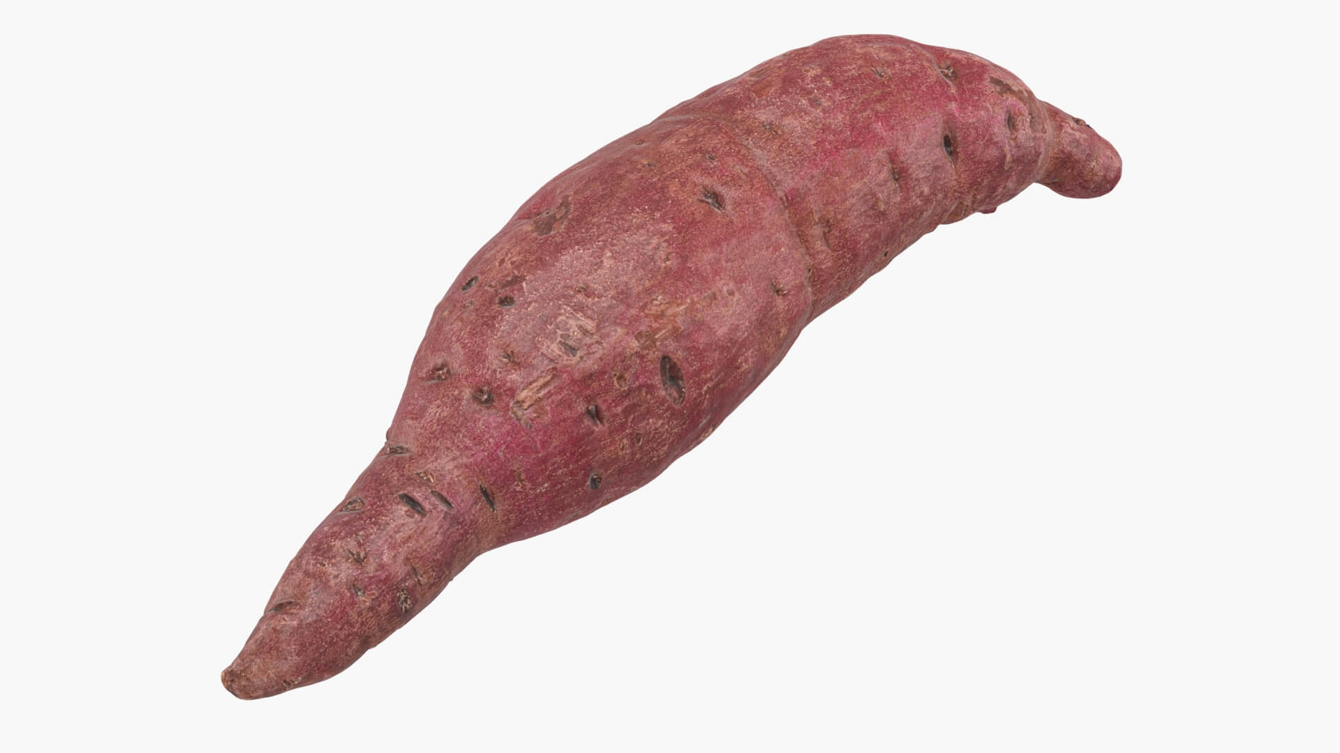 Sweet Potato 02 3D Model