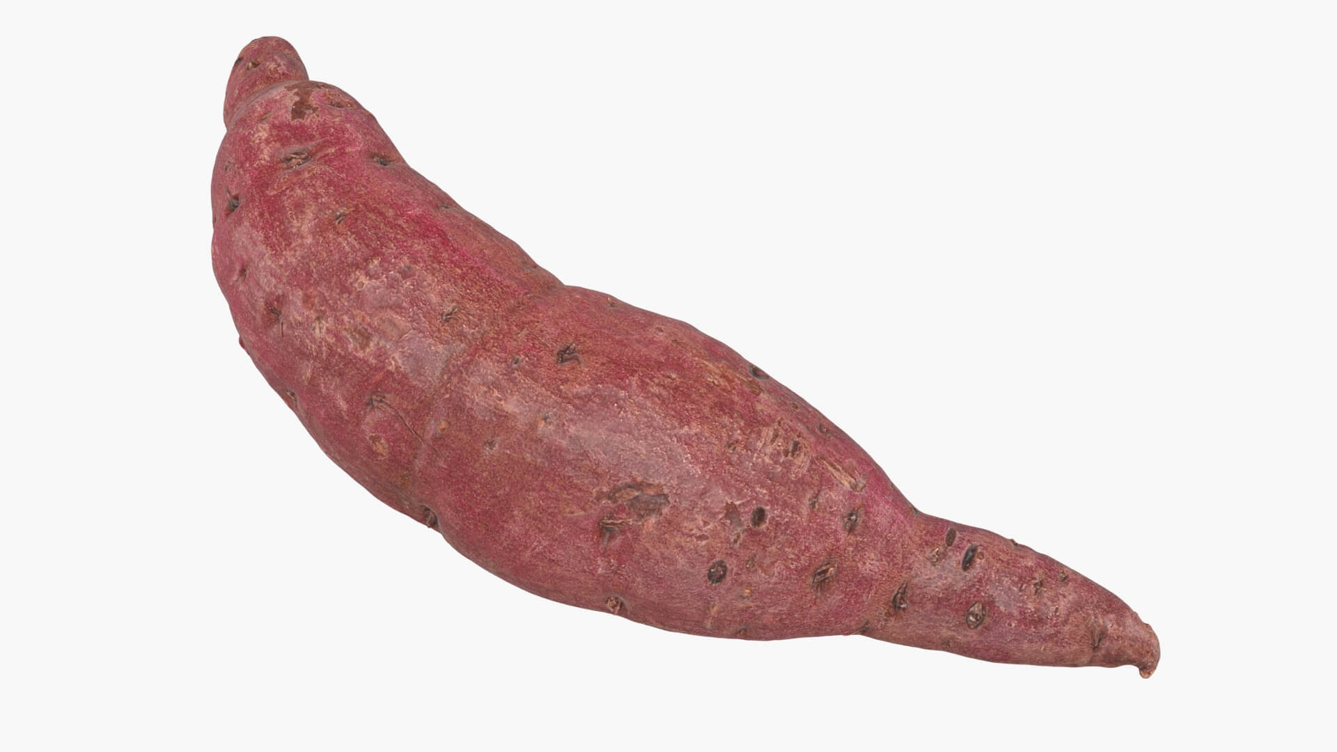 Sweet Potato 02 3D Model