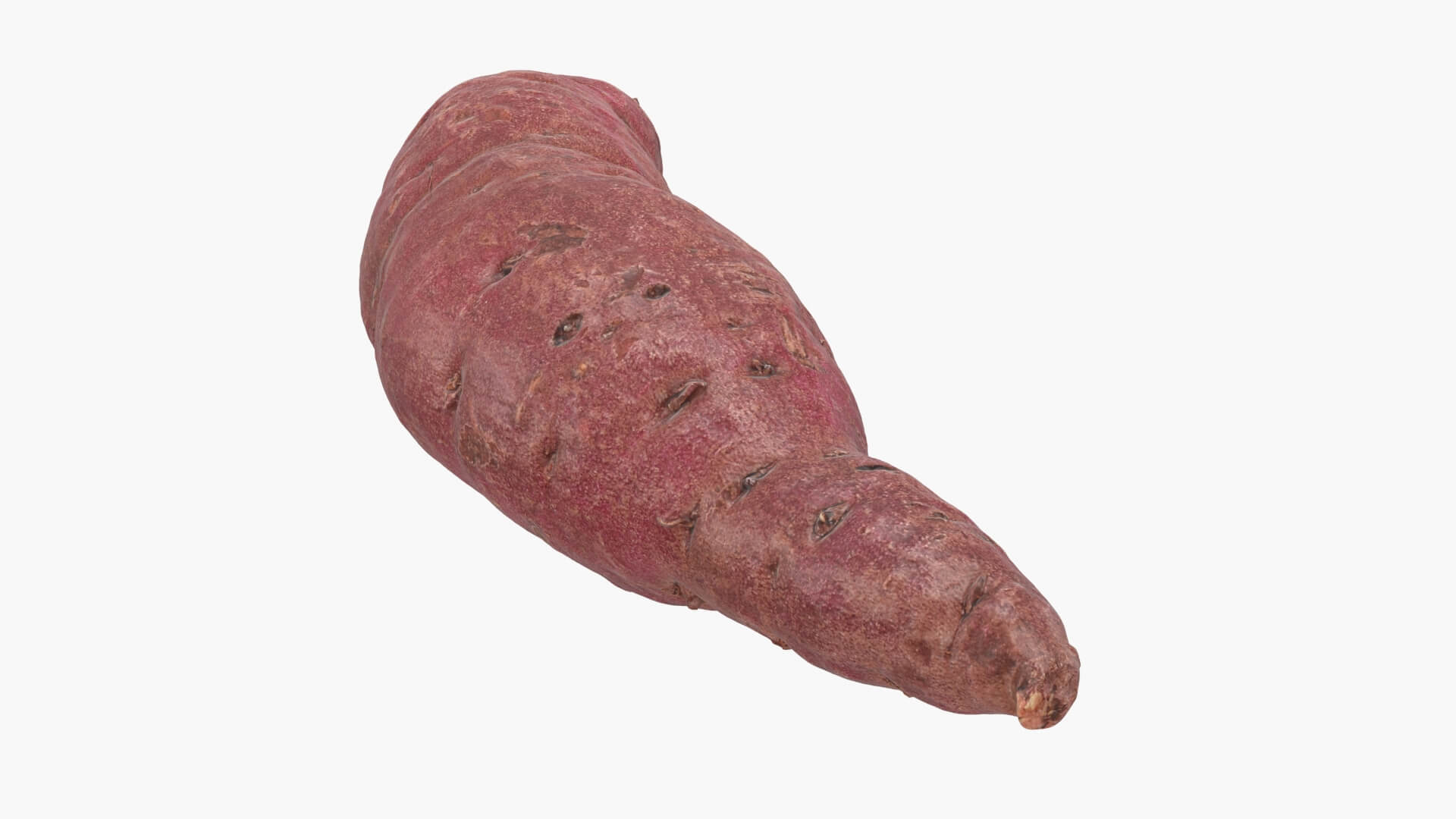 Sweet Potato 02 3D Model
