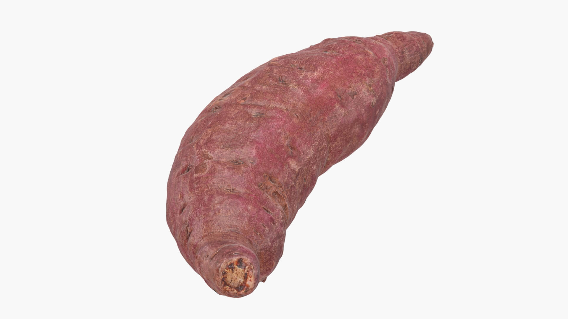 Sweet Potato 02 3D Model