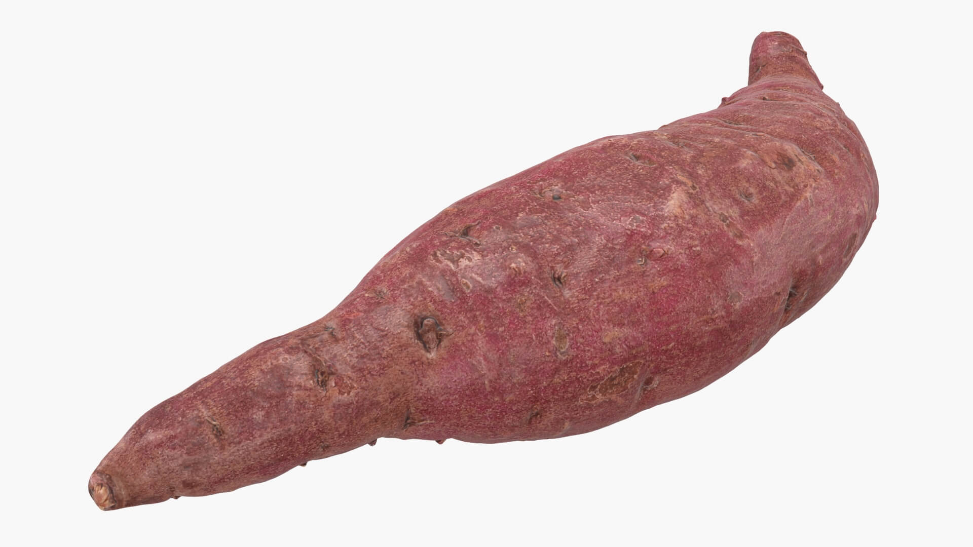Sweet Potato 02 3D Model