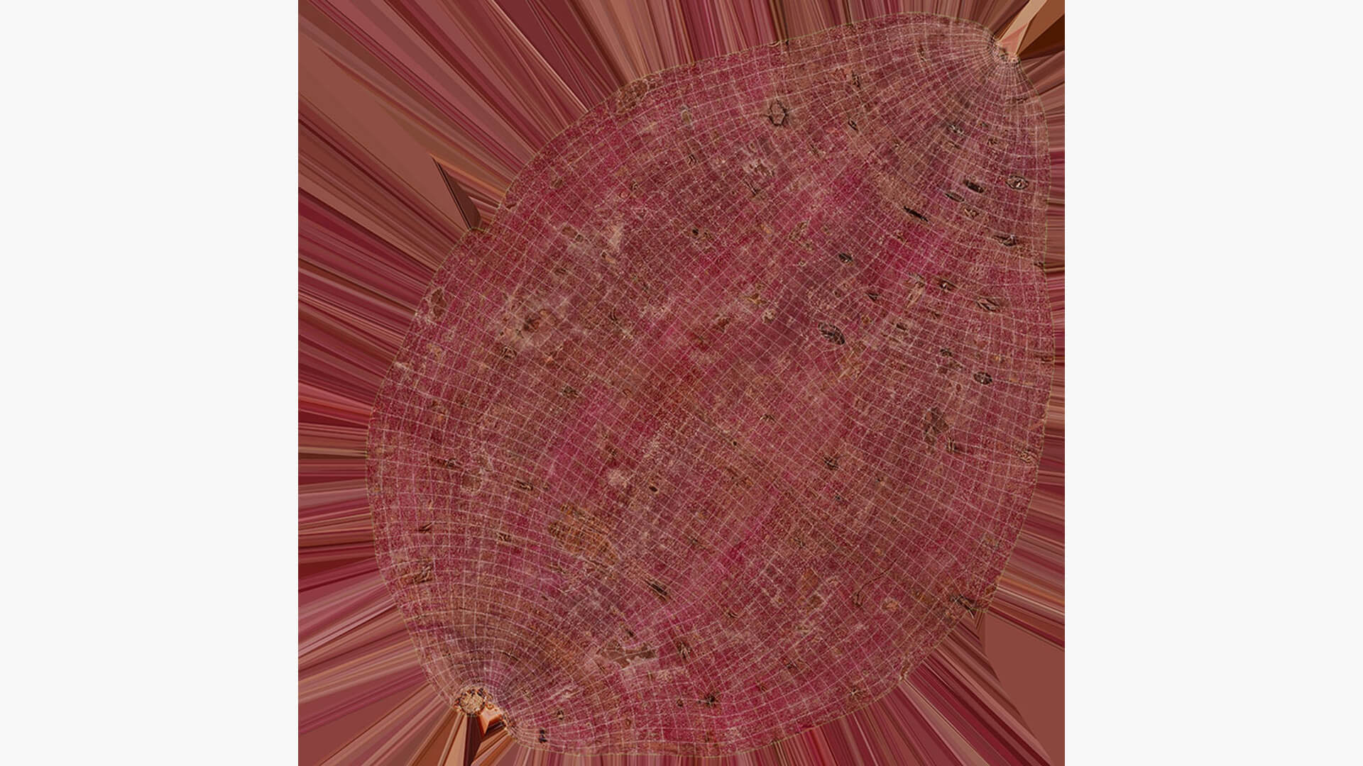 Sweet Potato 02 3D Model