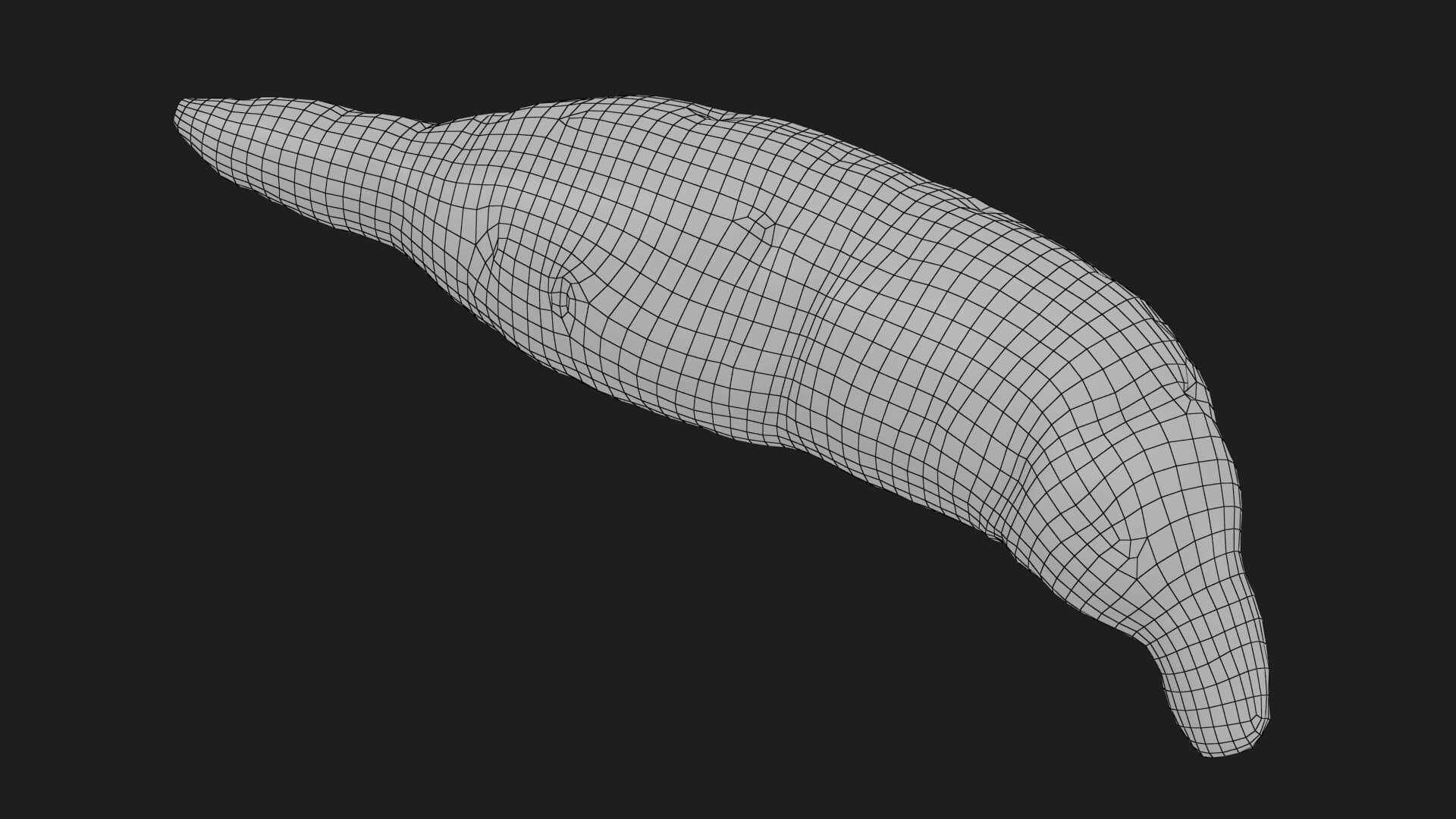 Sweet Potato 02 3D Model