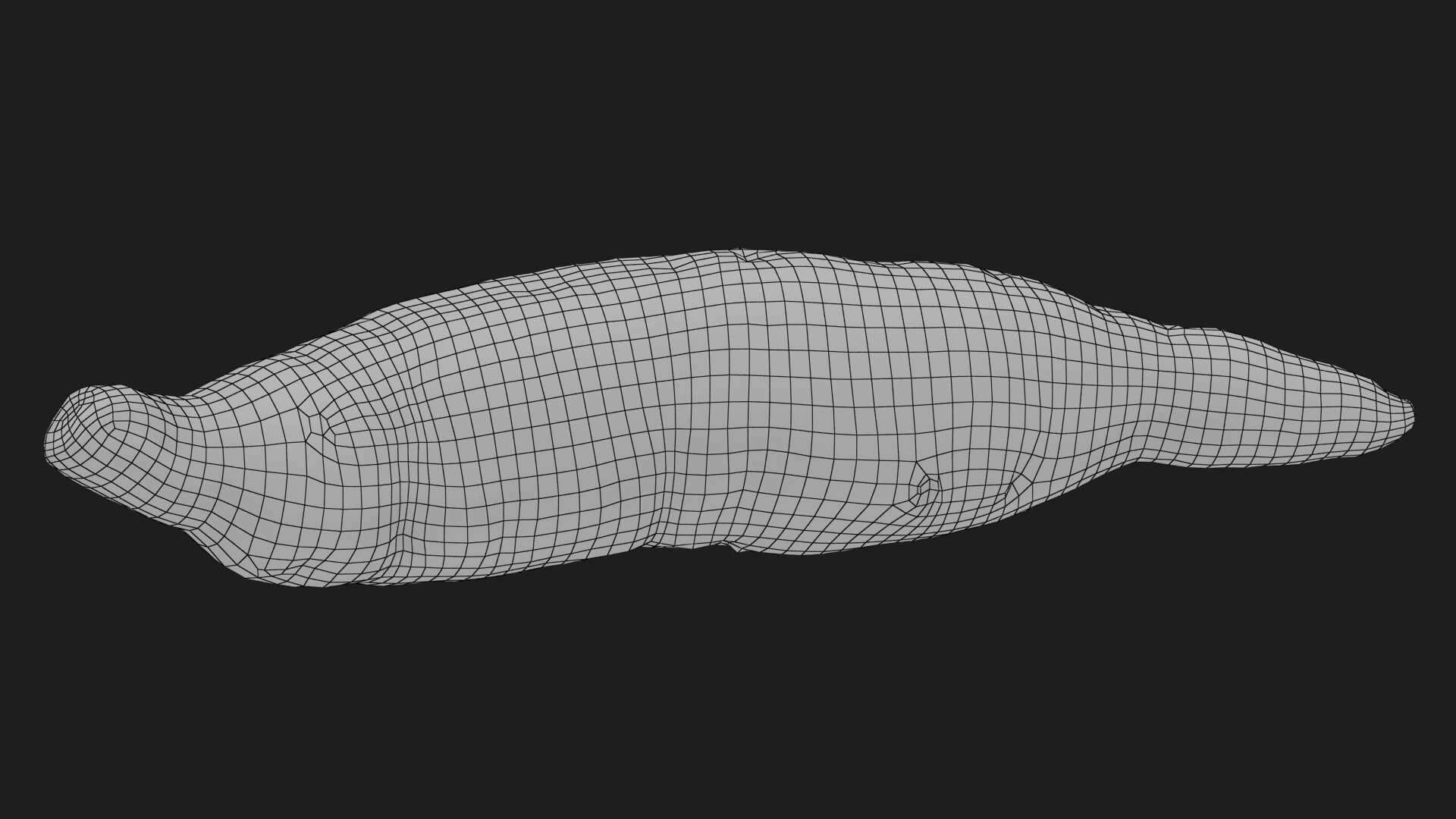 Sweet Potato 02 3D Model