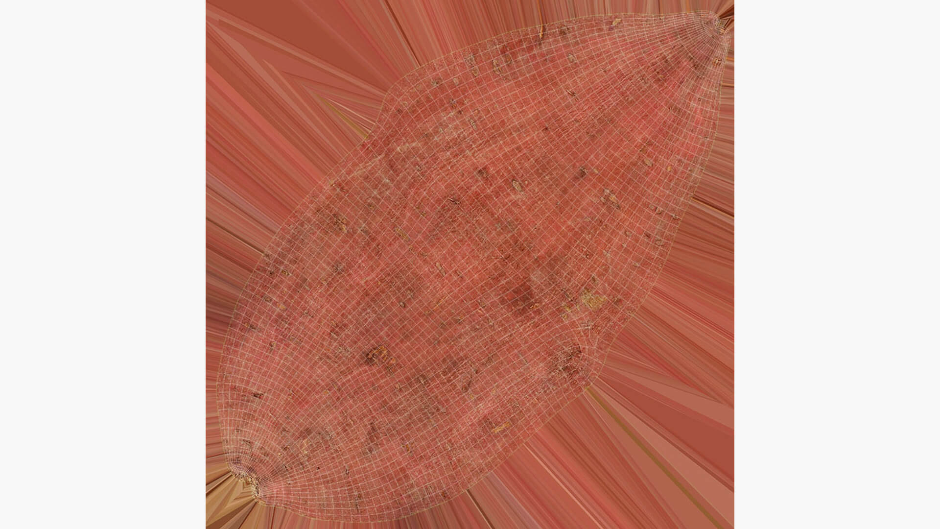Sweet Potato 03 3D Model