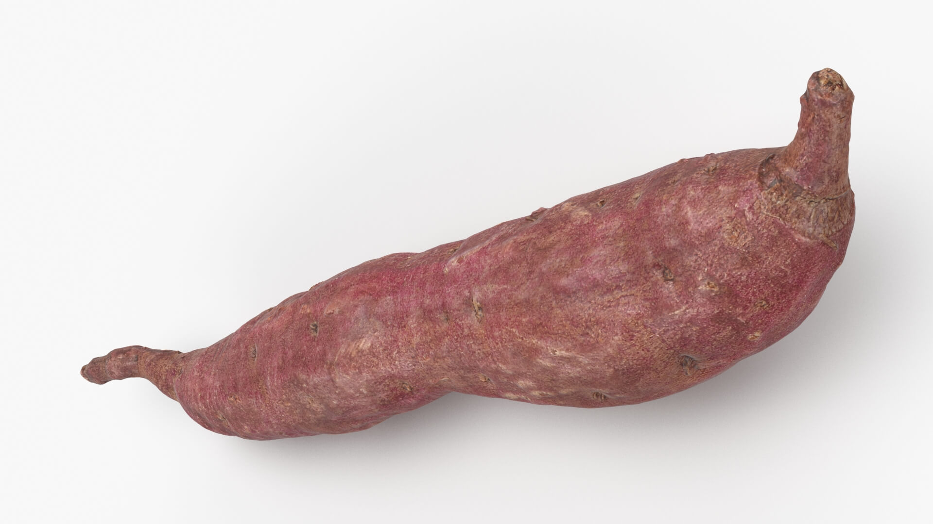 Sweet Potato 04 3D Model