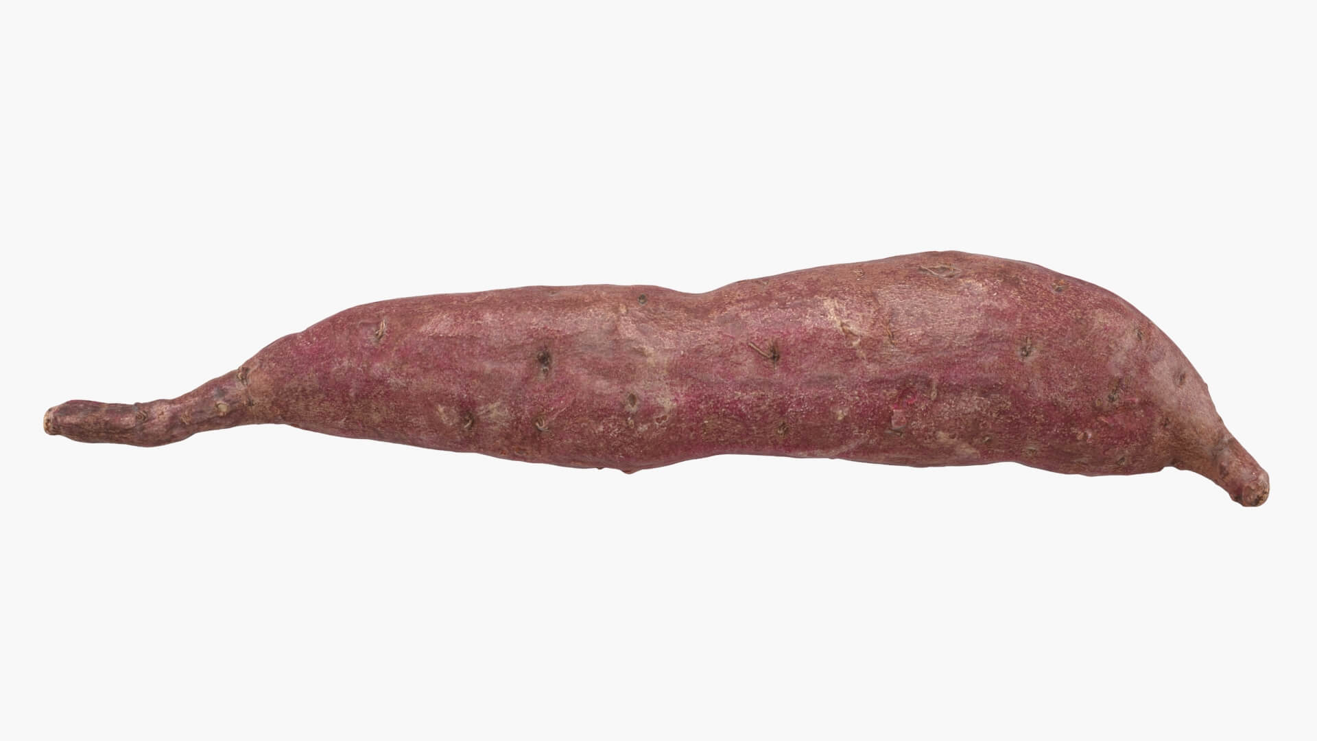 Sweet Potato 04 3D Model