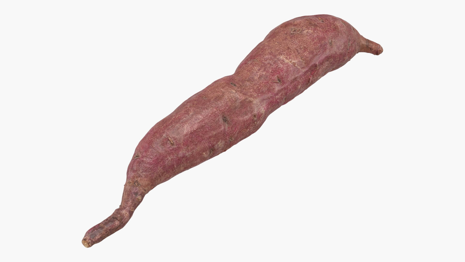 Sweet Potato 04 3D Model