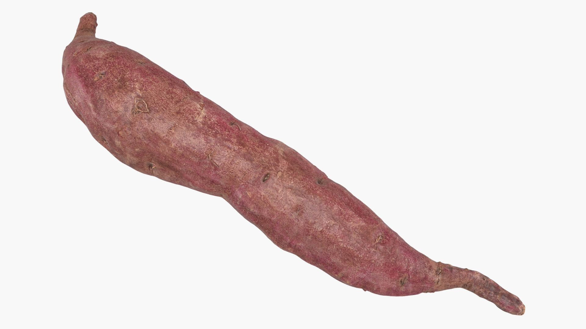 Sweet Potato 04 3D Model