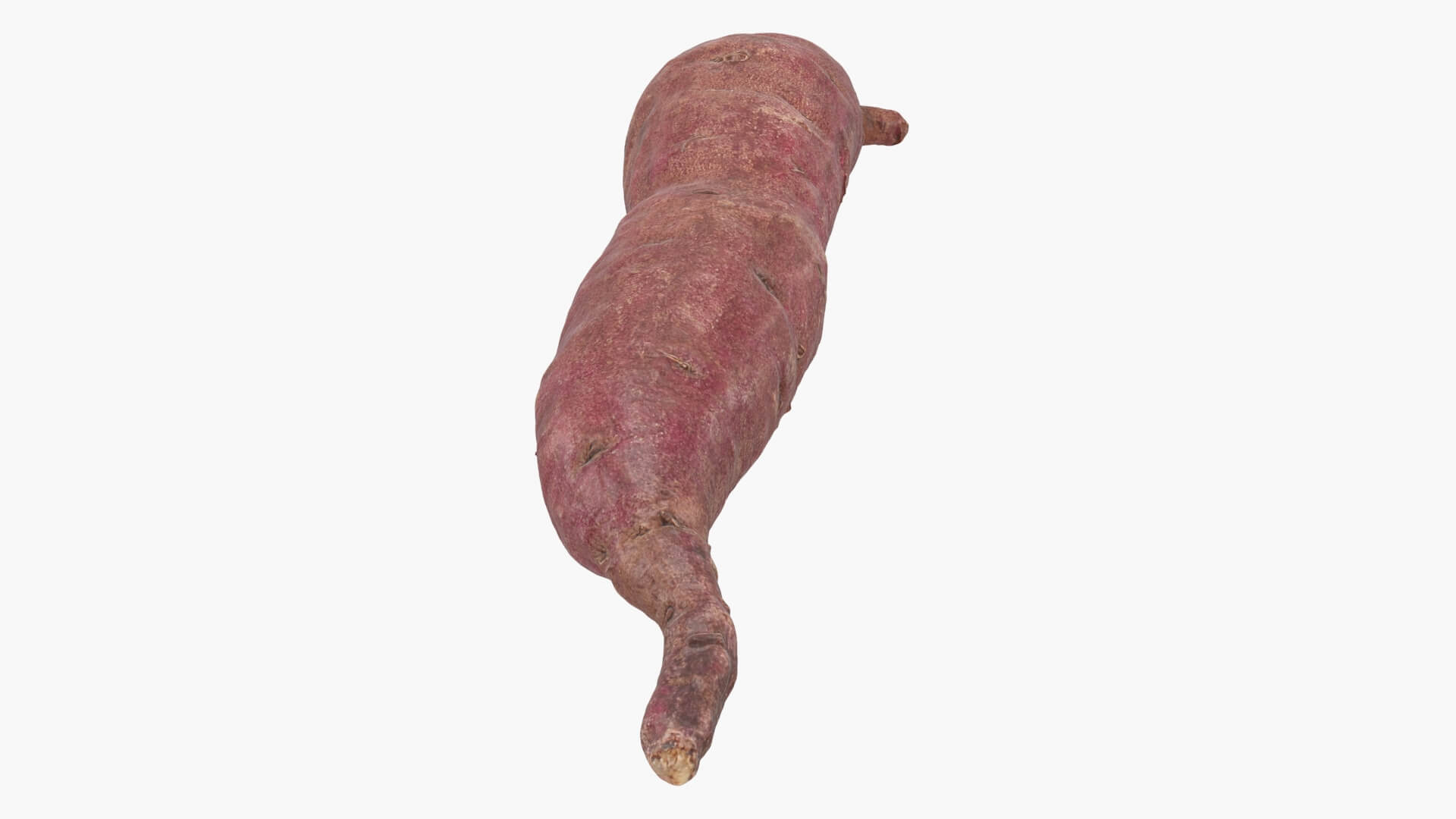 Sweet Potato 04 3D Model