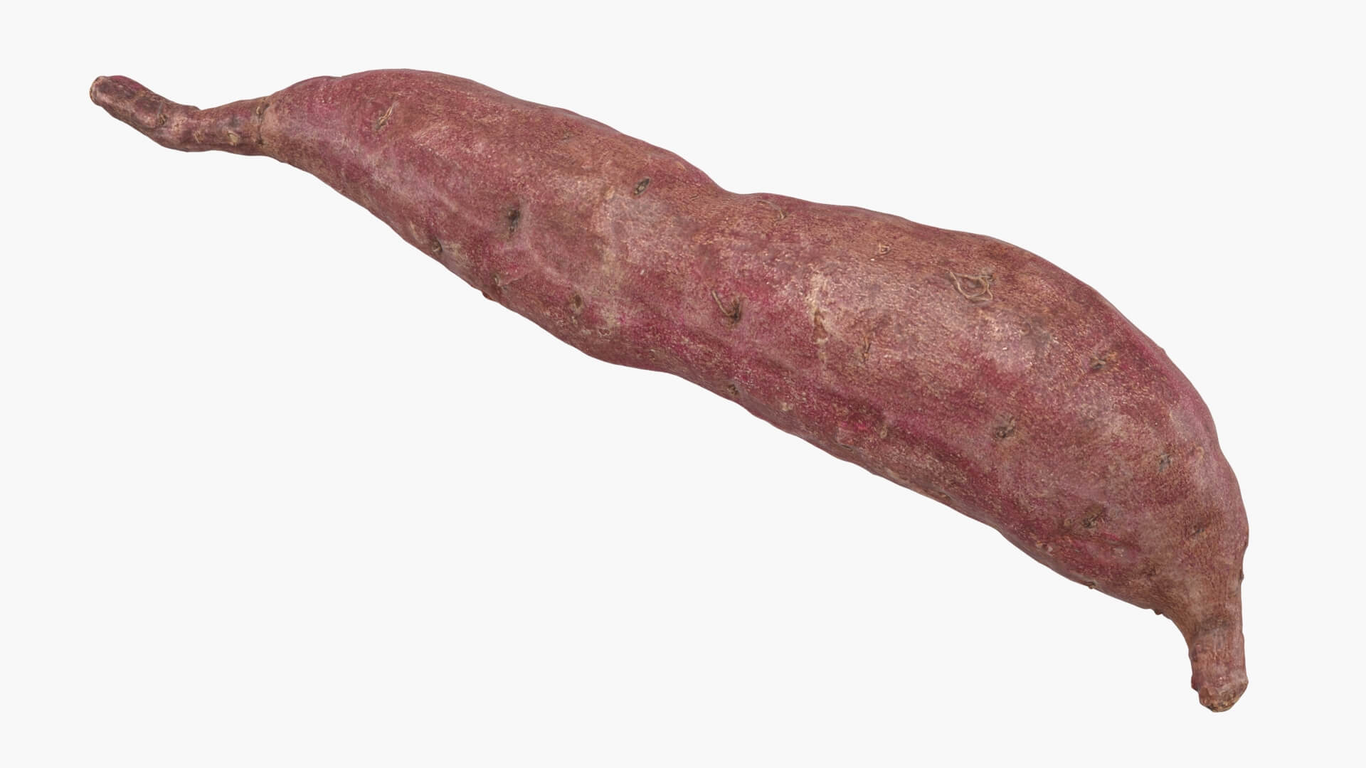 Sweet Potato 04 3D Model